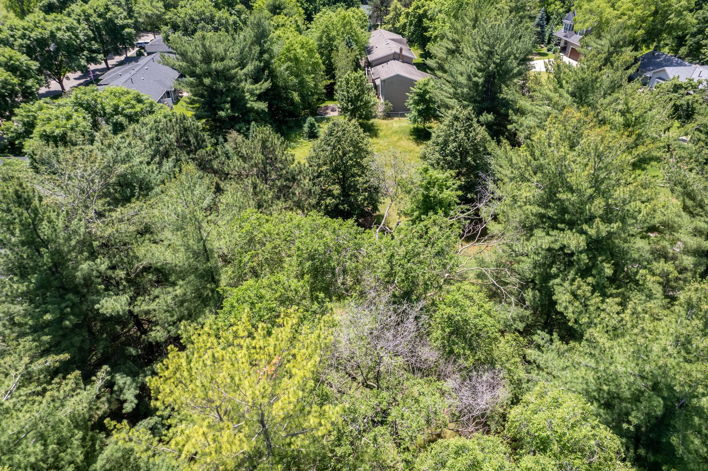 XX Buffalo Lane, Shoreview, MN 55126