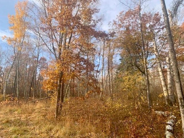 TBD New Paradise Point Drive - Lot 7 , Lake George, MN 56458