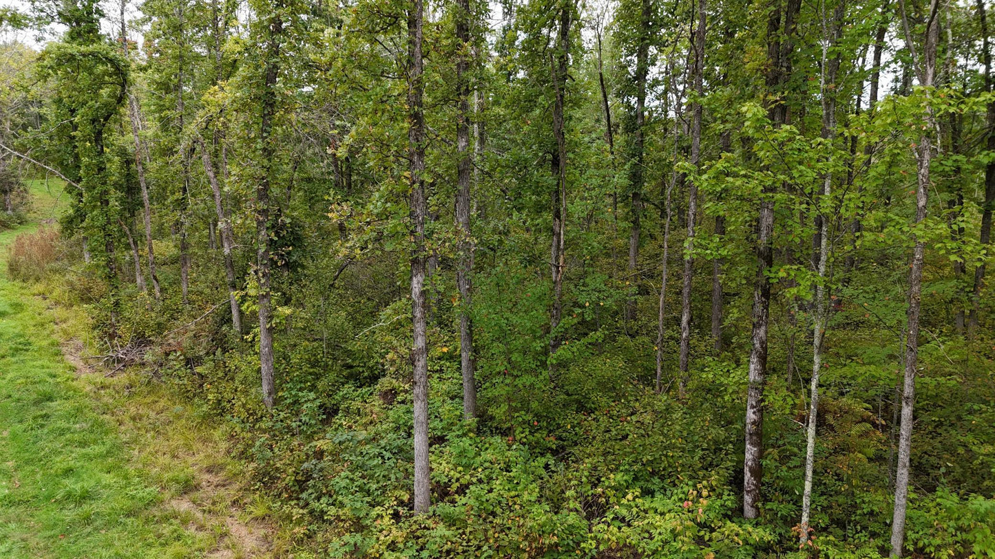 TBD Rainbow Trout Trail , Sandstone, MN 55072