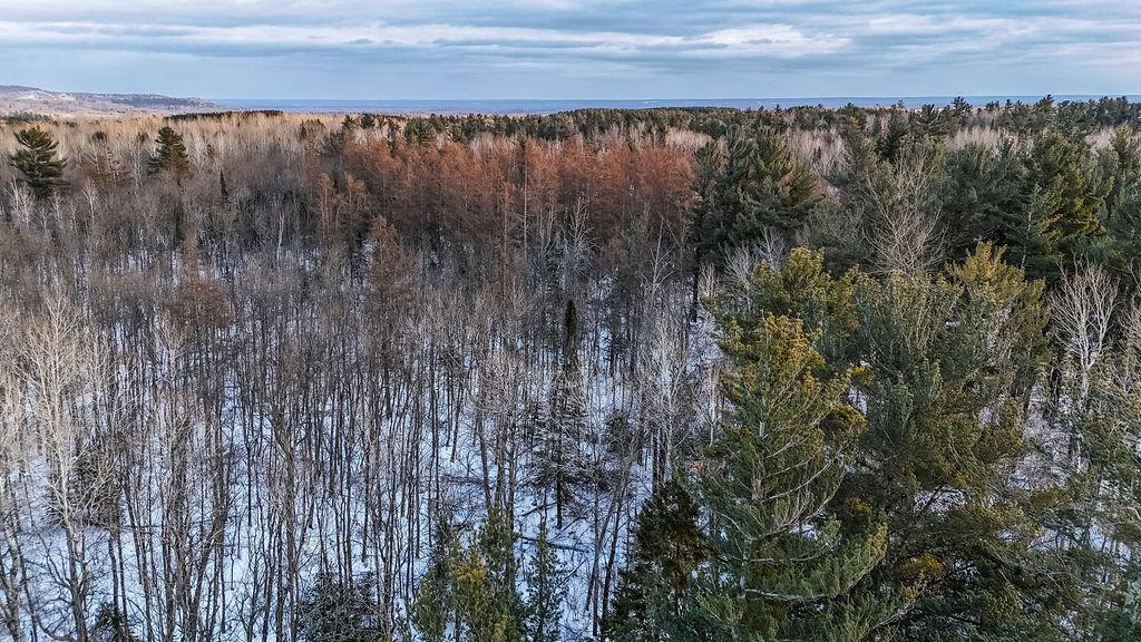 xx Larson Road, Thomson Twp, MN 55733