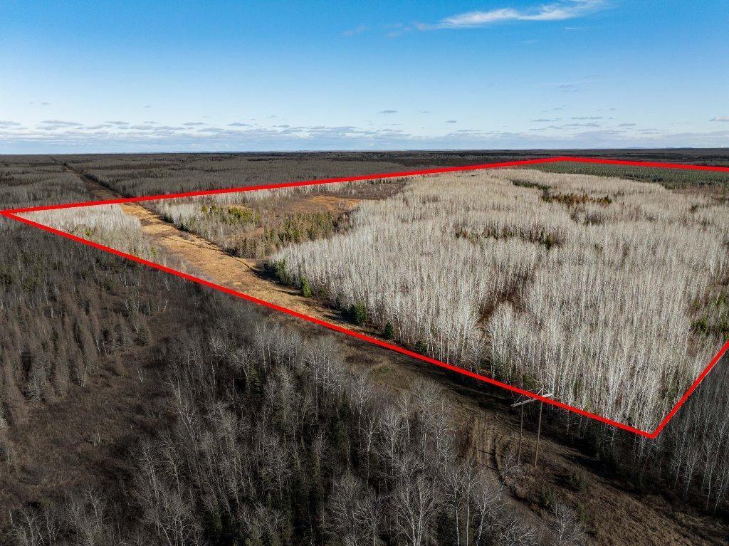 TBD County Rd 60 , Grand Rapids, MN 55744