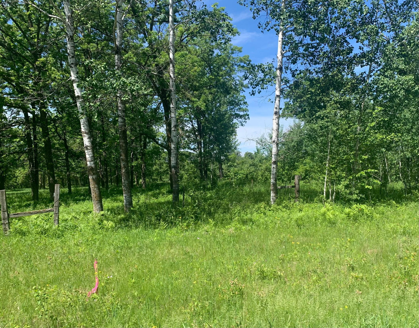 XX 61st Avenue, May Twp, MN 56466