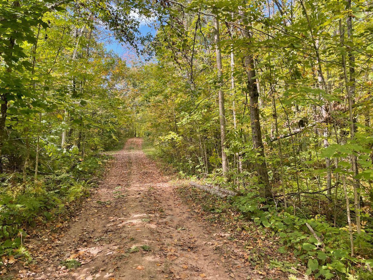 TBD Rainbow Trout Trail , Sandstone, MN 55072