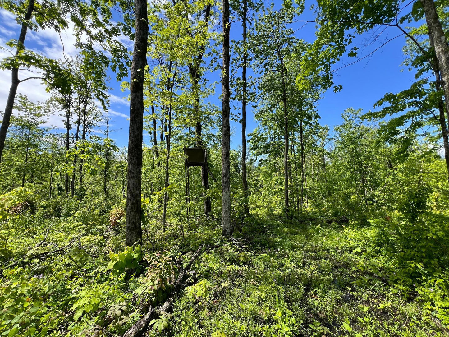 XXX Woods Road, Isle, MN 56342