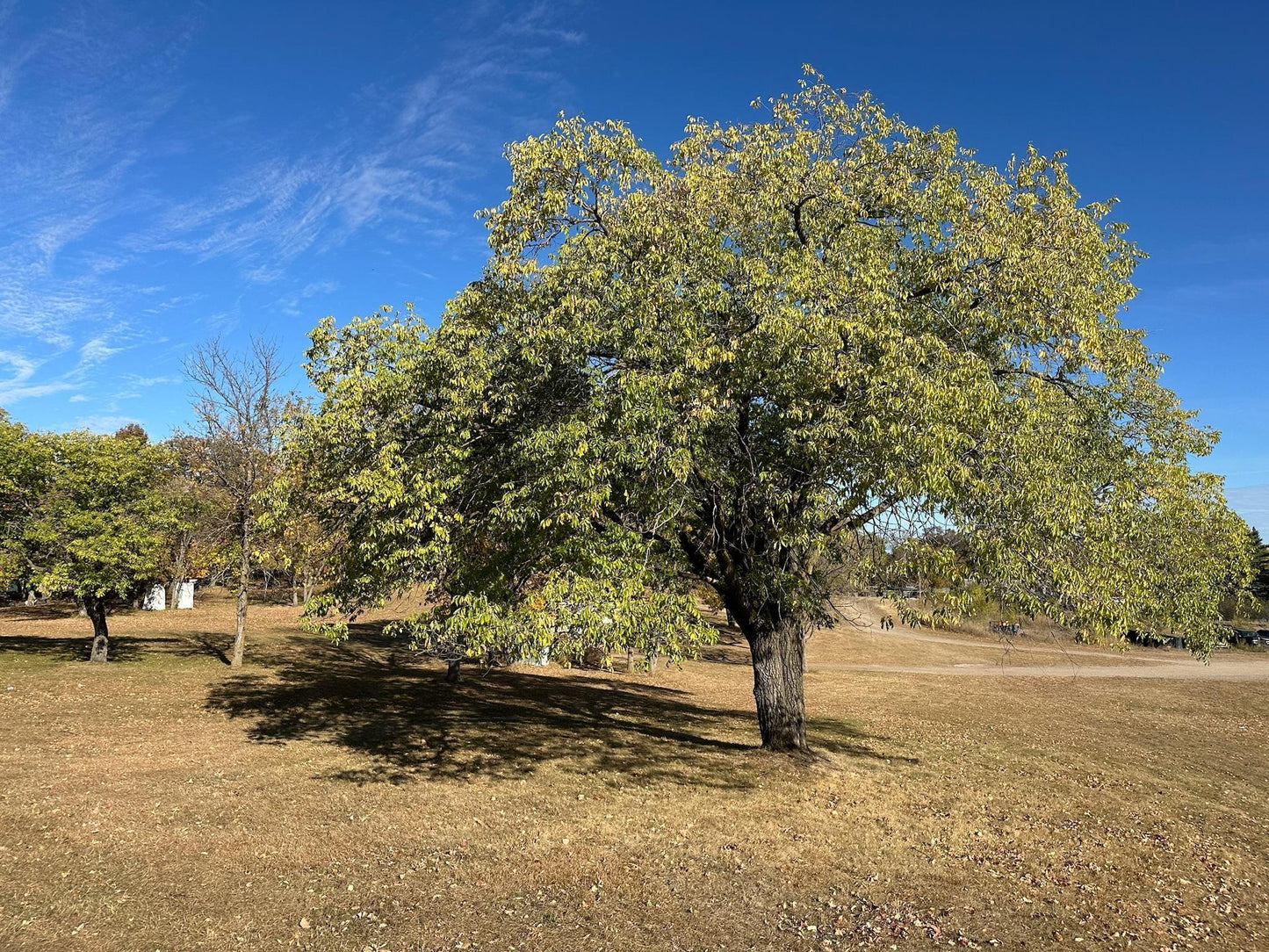 TBD Nodaway Drive, Detroit Lakes, MN 56501