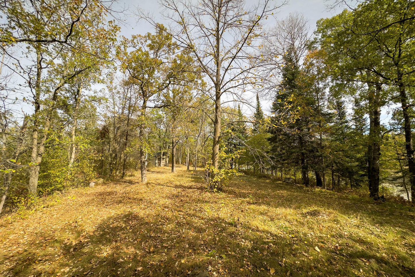 Tract B Brietbach Road, Park Rapids, MN 56470