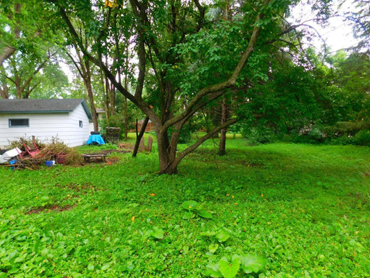 1033 3rd Street, Saint Paul Park, MN 55071