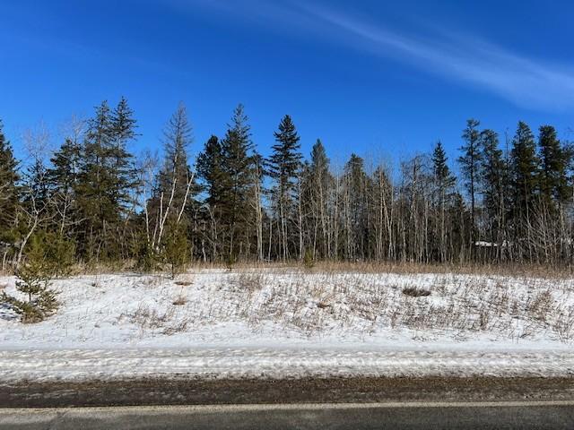 TBD Town Hall Road, Bemidji, MN 56601