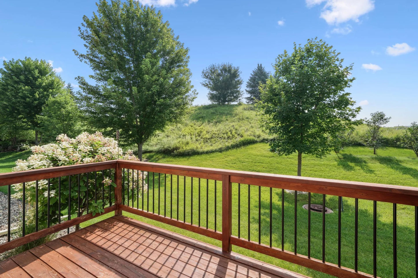 1031 Anthony Way, Victoria, MN 55386