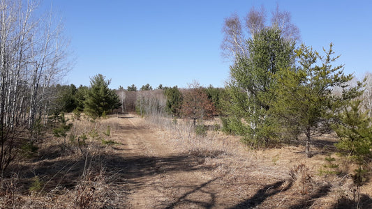 xxx Pacer Loop , Fawn Lake Twp, MN 56438