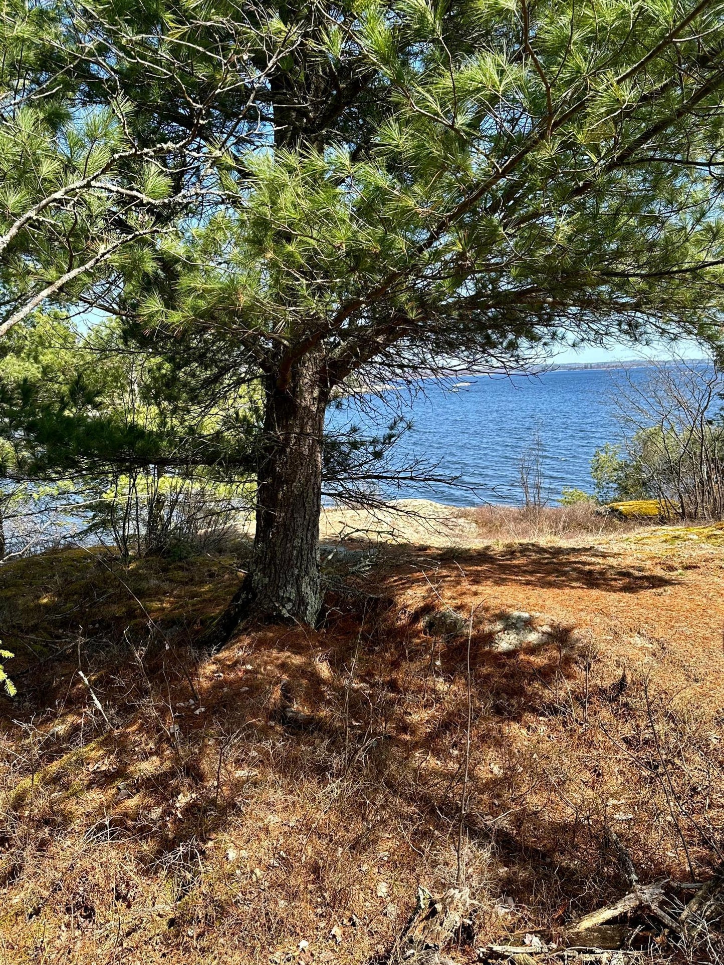 TBD Kabetogama Lake , Kabetogama Twp, MN 56669