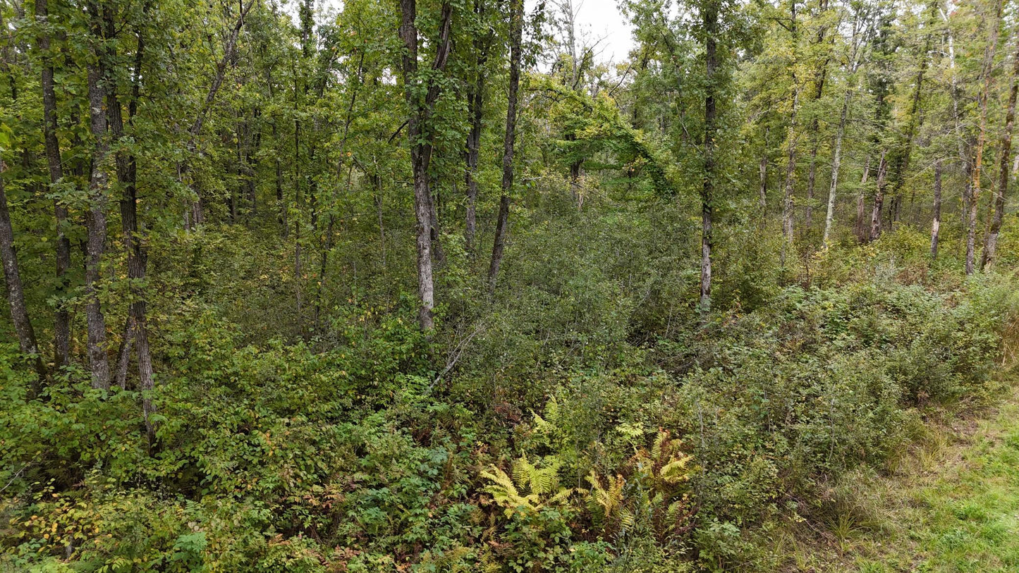 TBD Rainbow Trout Trail , Sandstone, MN 55072