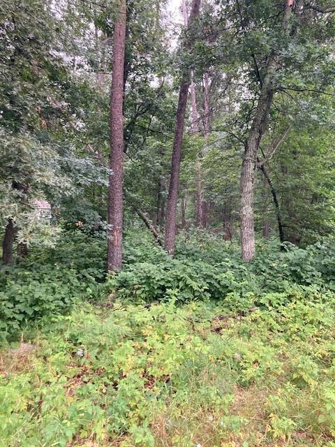 Lot 39 & 40 Owl Circle, Breezy Point, MN 56472