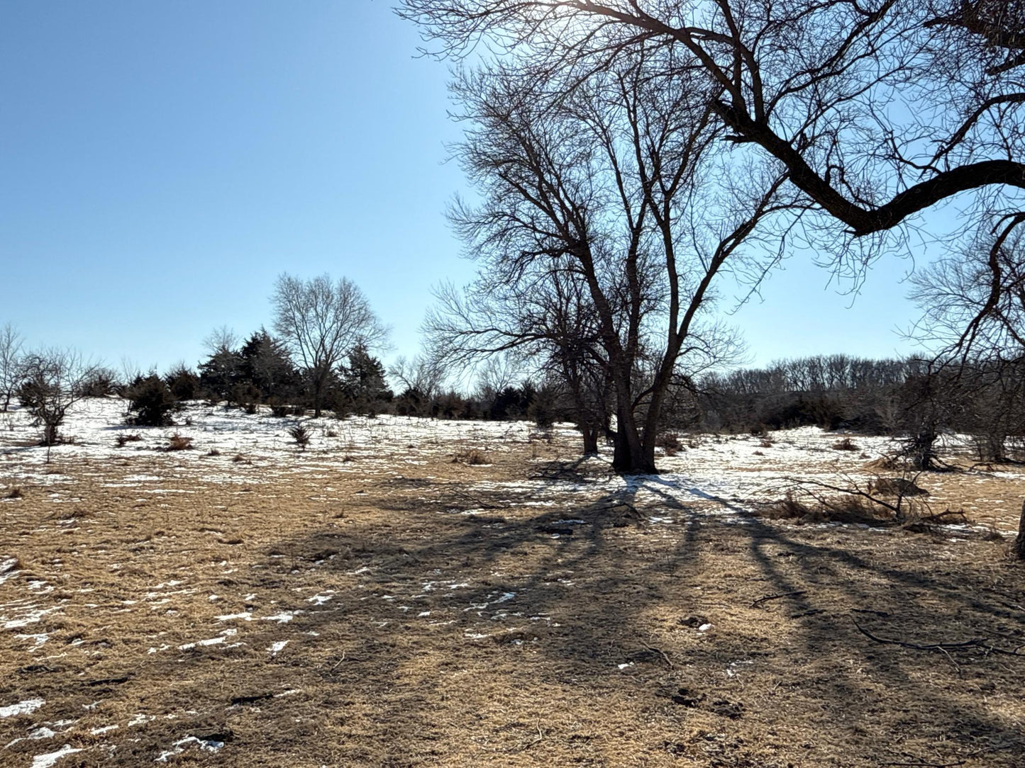 Pasture Land Section 13 / 24 Delhi TWP , Delhi Twp, MN 56283