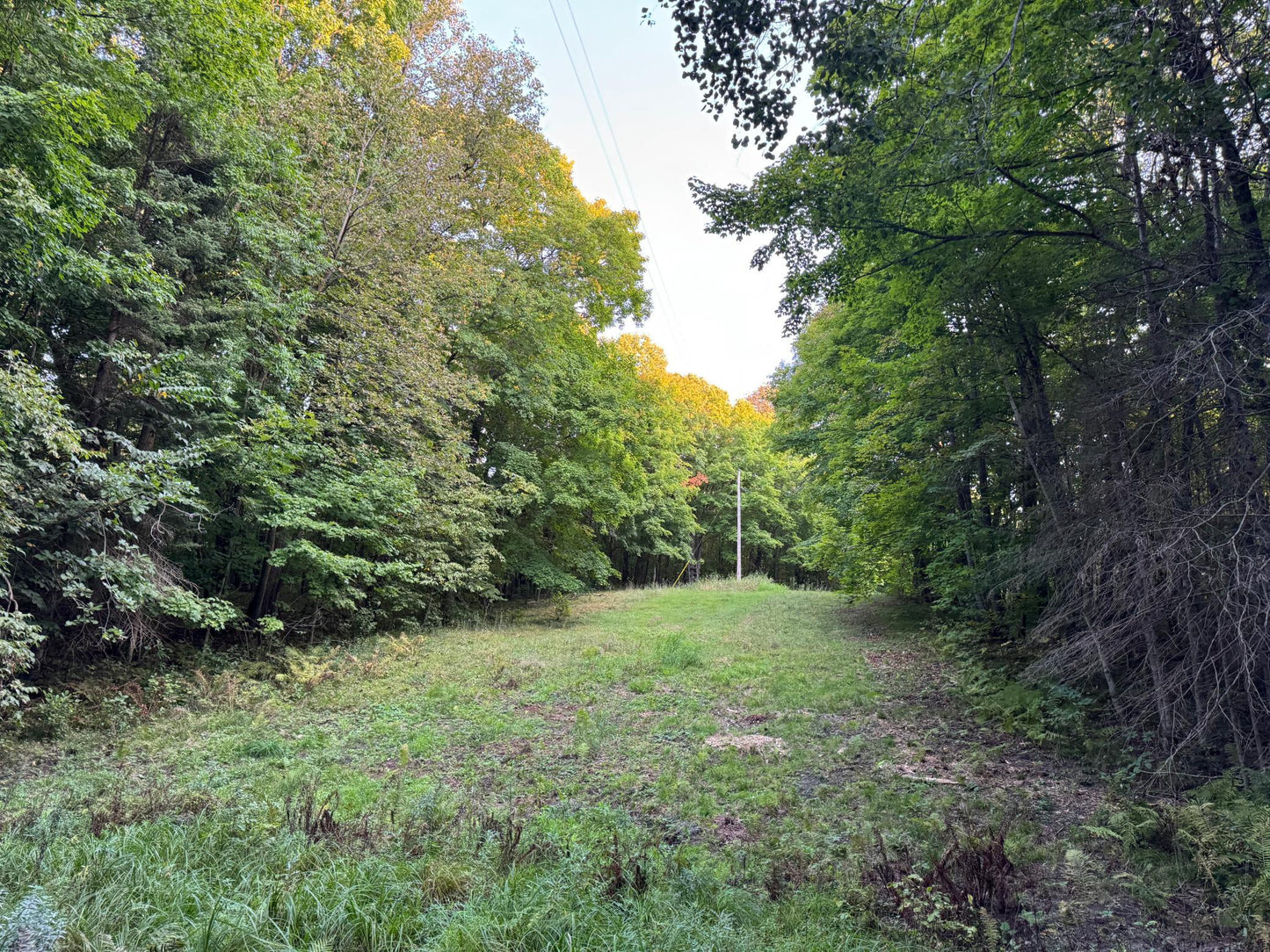 (LOT 1) TBD Rock Lake Road, Rochert, MN 56578