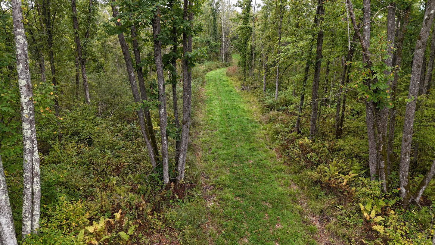 TBD Rainbow Trout Trail , Sandstone, MN 55072