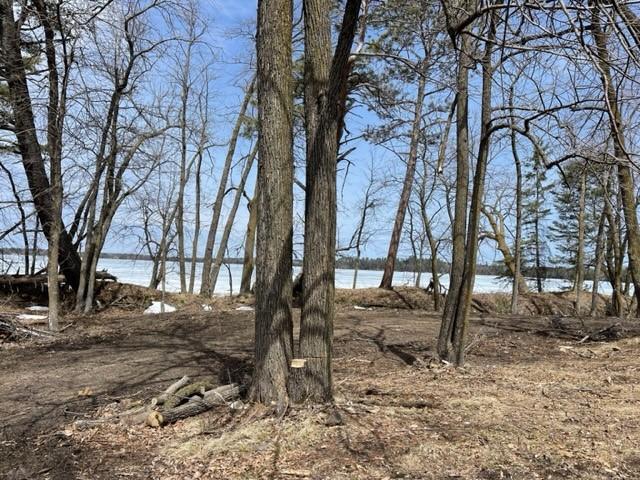 TBD Parcel D New Paradise Point Drive, Lake George, MN 56458