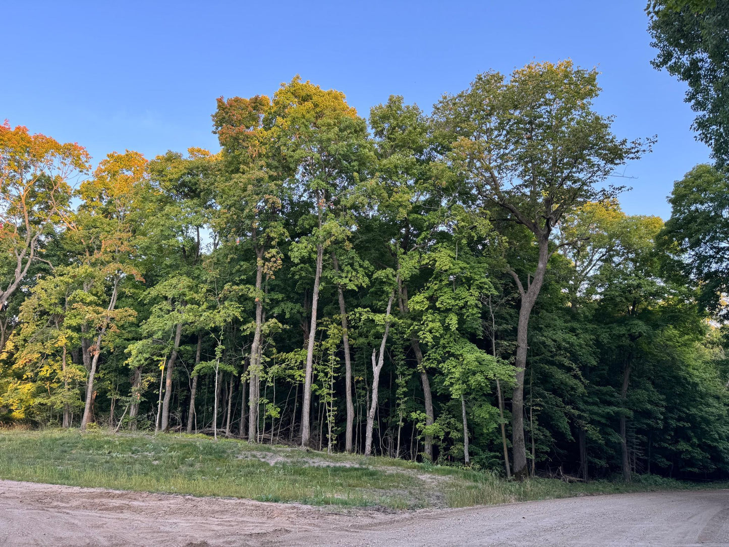 (LOT 3) TBD Rock Lake Road, Rochert, MN 56578