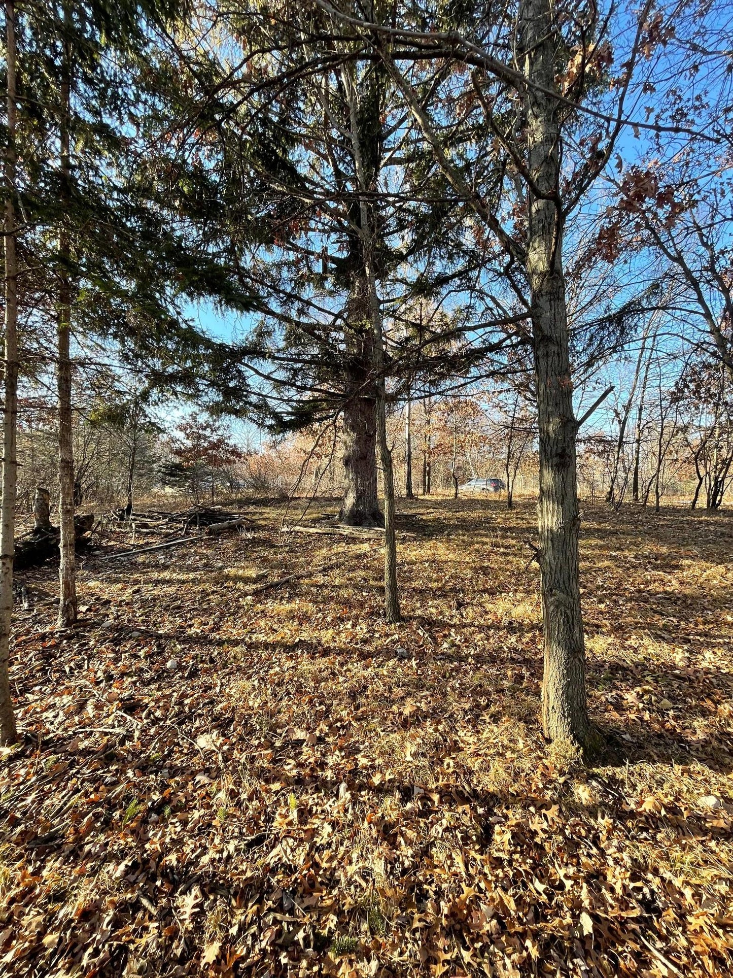 xxx Fawn Road, Linwood Twp, MN 55092