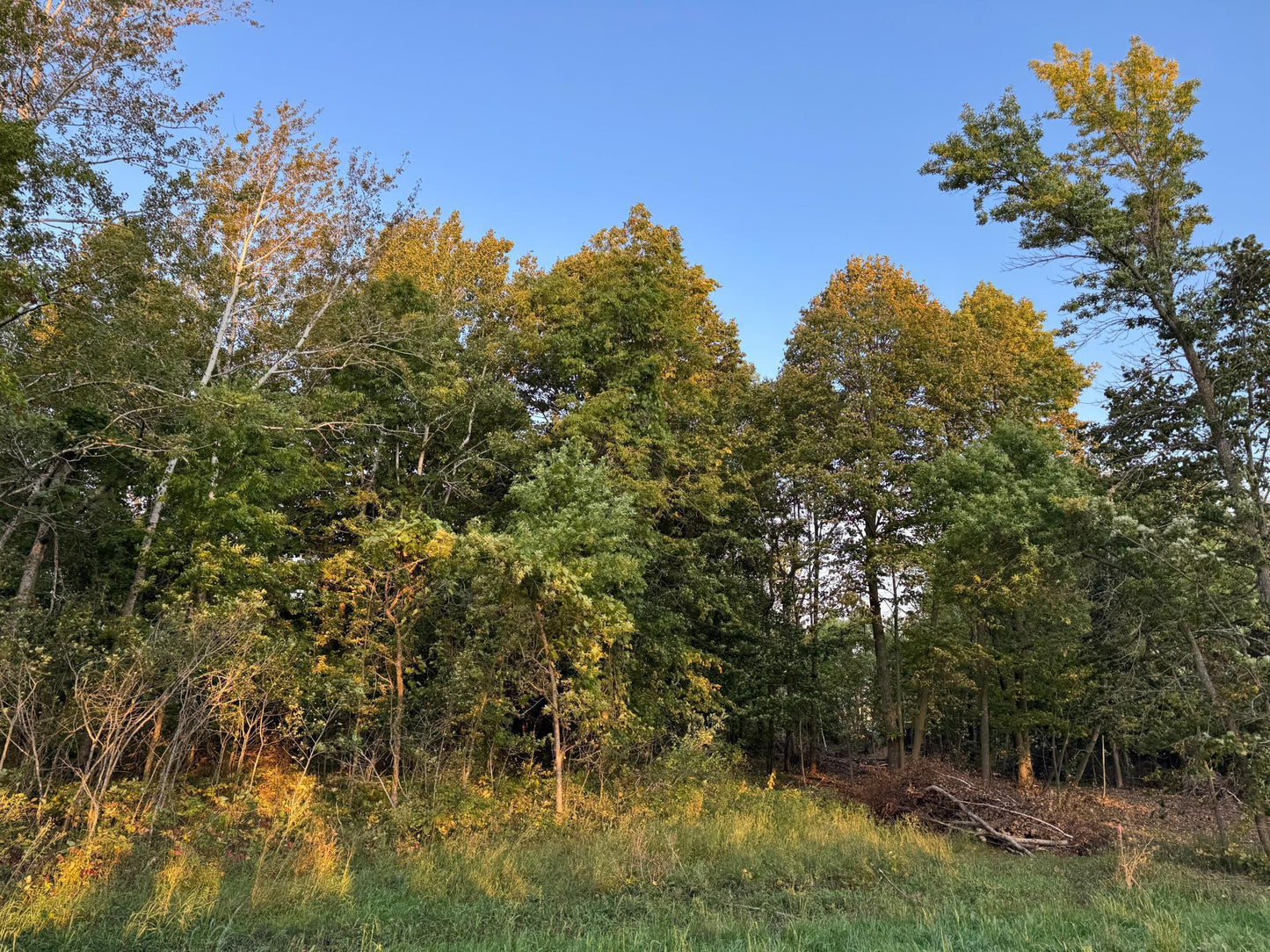 (LOT 1) TBD Rock Lake Road, Rochert, MN 56578