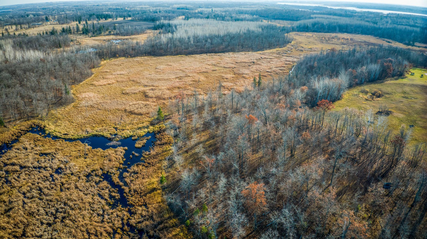 TBD Hwy 89 , Puposky, MN 56667