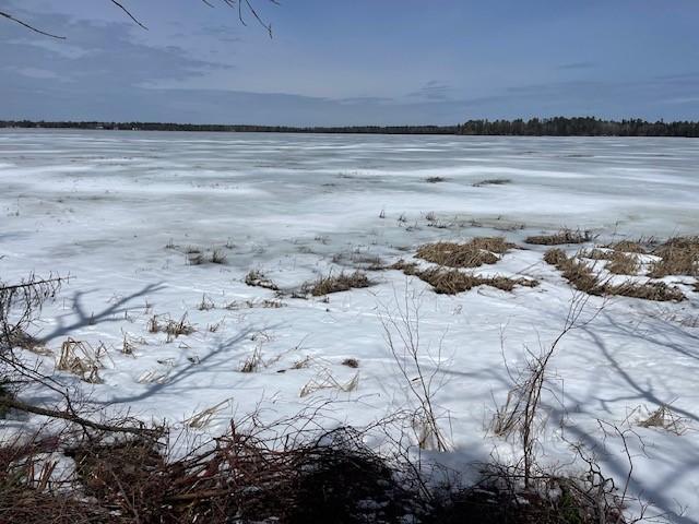 TBD Parcel D New Paradise Point Drive, Lake George, MN 56458