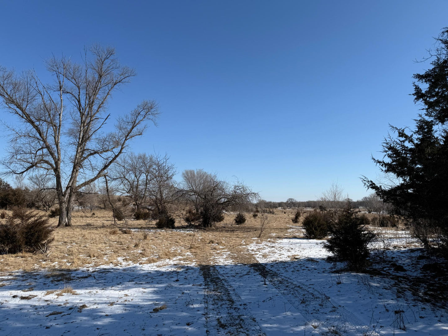 Pasture Land Section 13 / 24 Delhi TWP , Delhi Twp, MN 56283