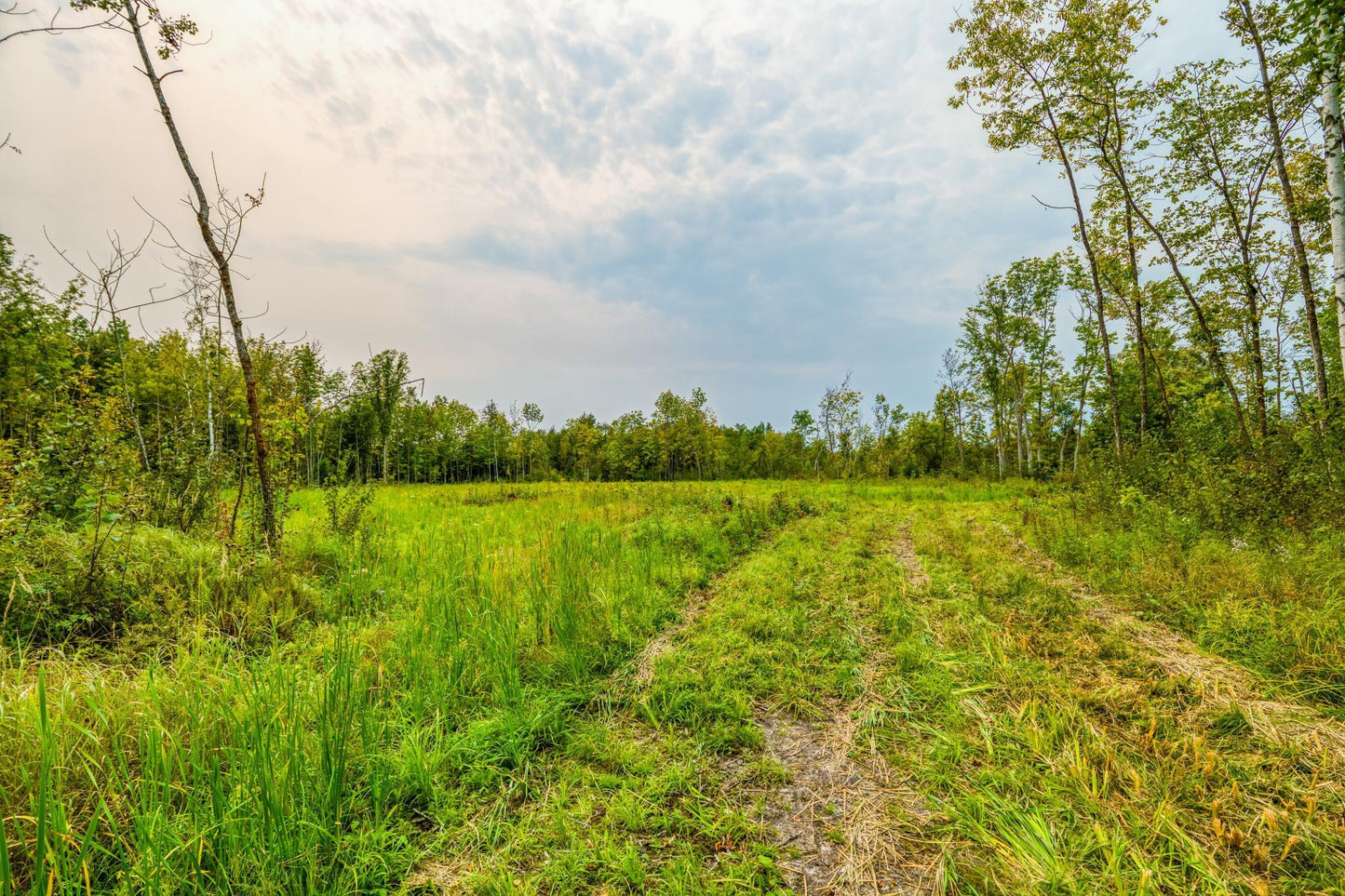 12479 Battle Road, Blackduck, MN 56630