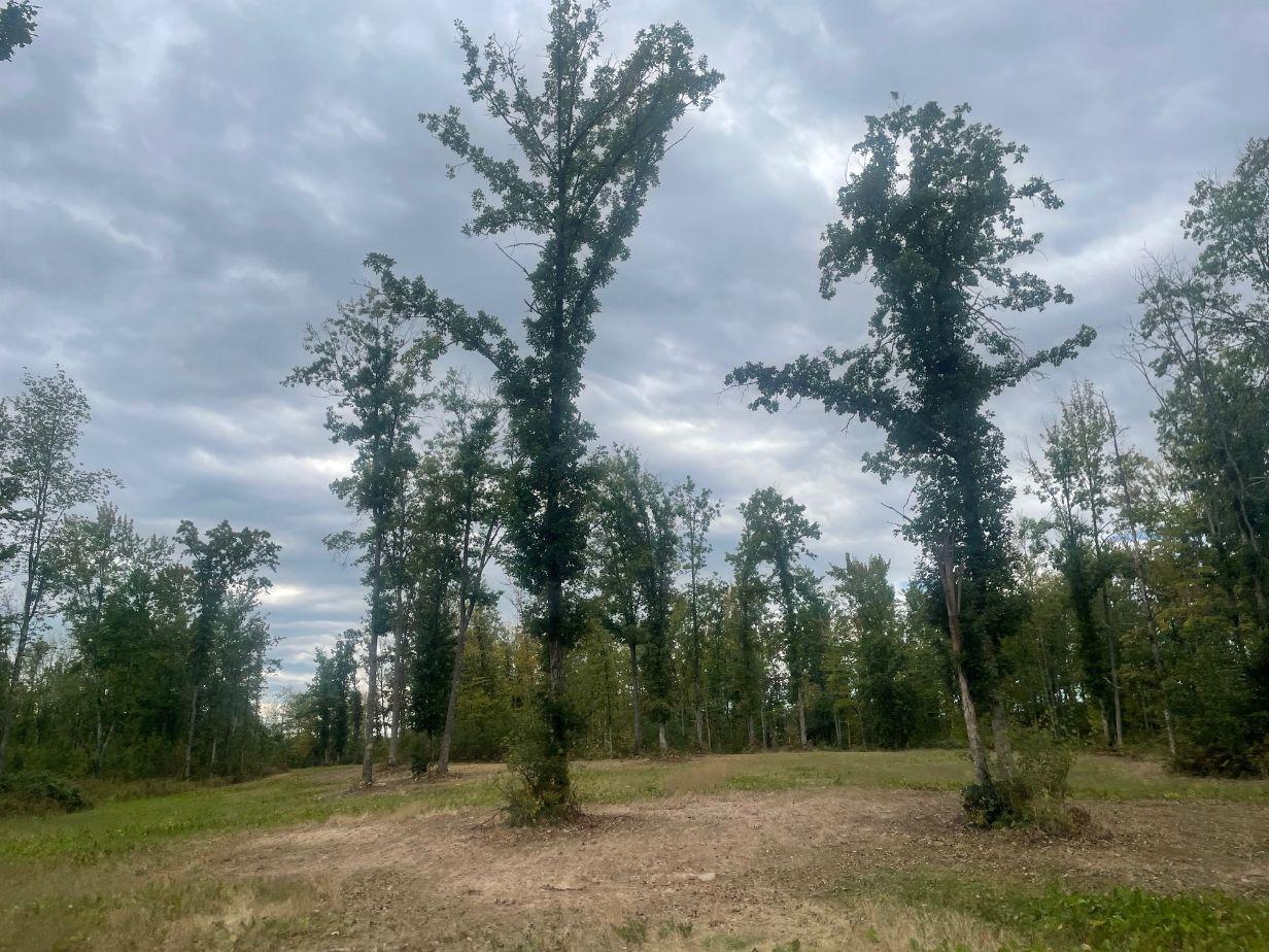 TBD Rainbow Trout Trail , Sandstone, MN 55072