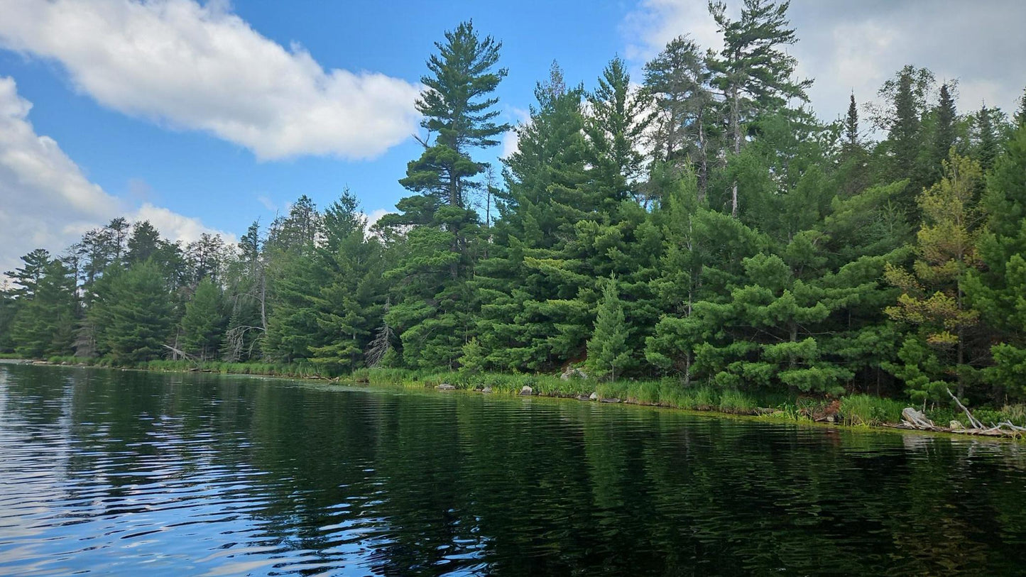 TBD Ban Lake Spur, Orr, MN 55771