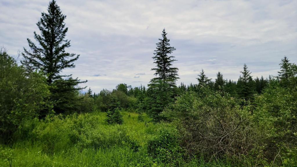 xxx Heino Road, Angora, MN 55703