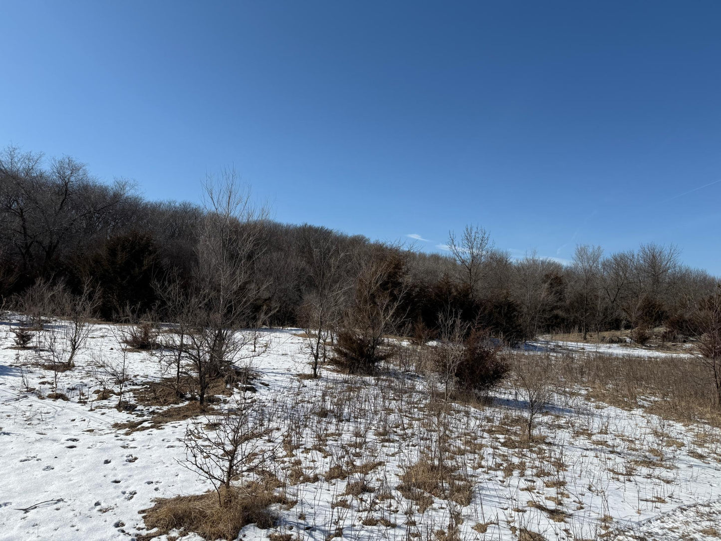 Pasture Land Section 13 / 24 Delhi TWP , Delhi Twp, MN 56283