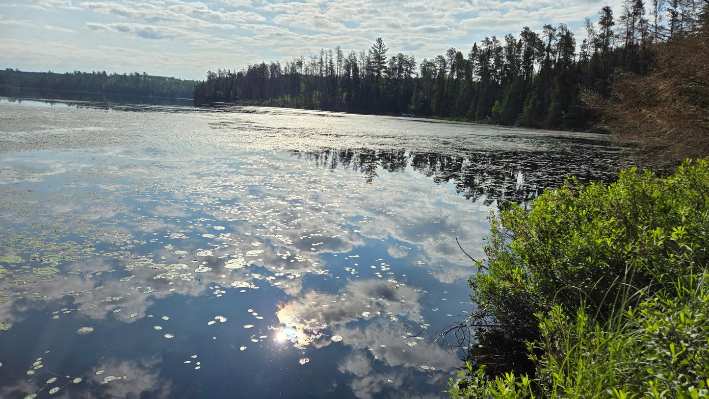 xx20 Ban Lake Spur , Buyck, MN 55771