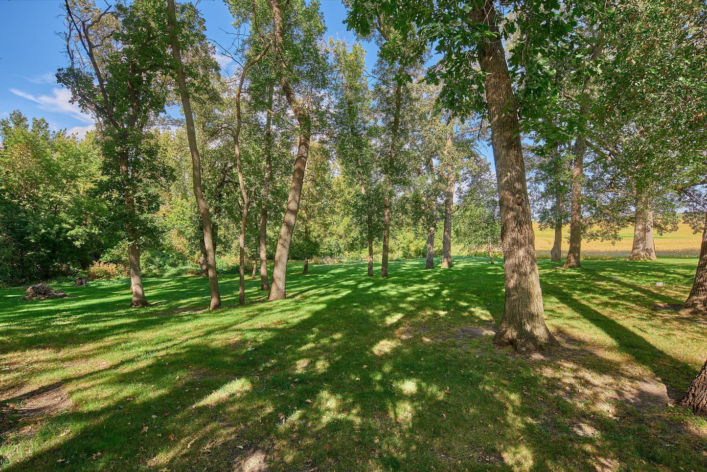 11795 Aldrich Road, Brandon, MN 56315