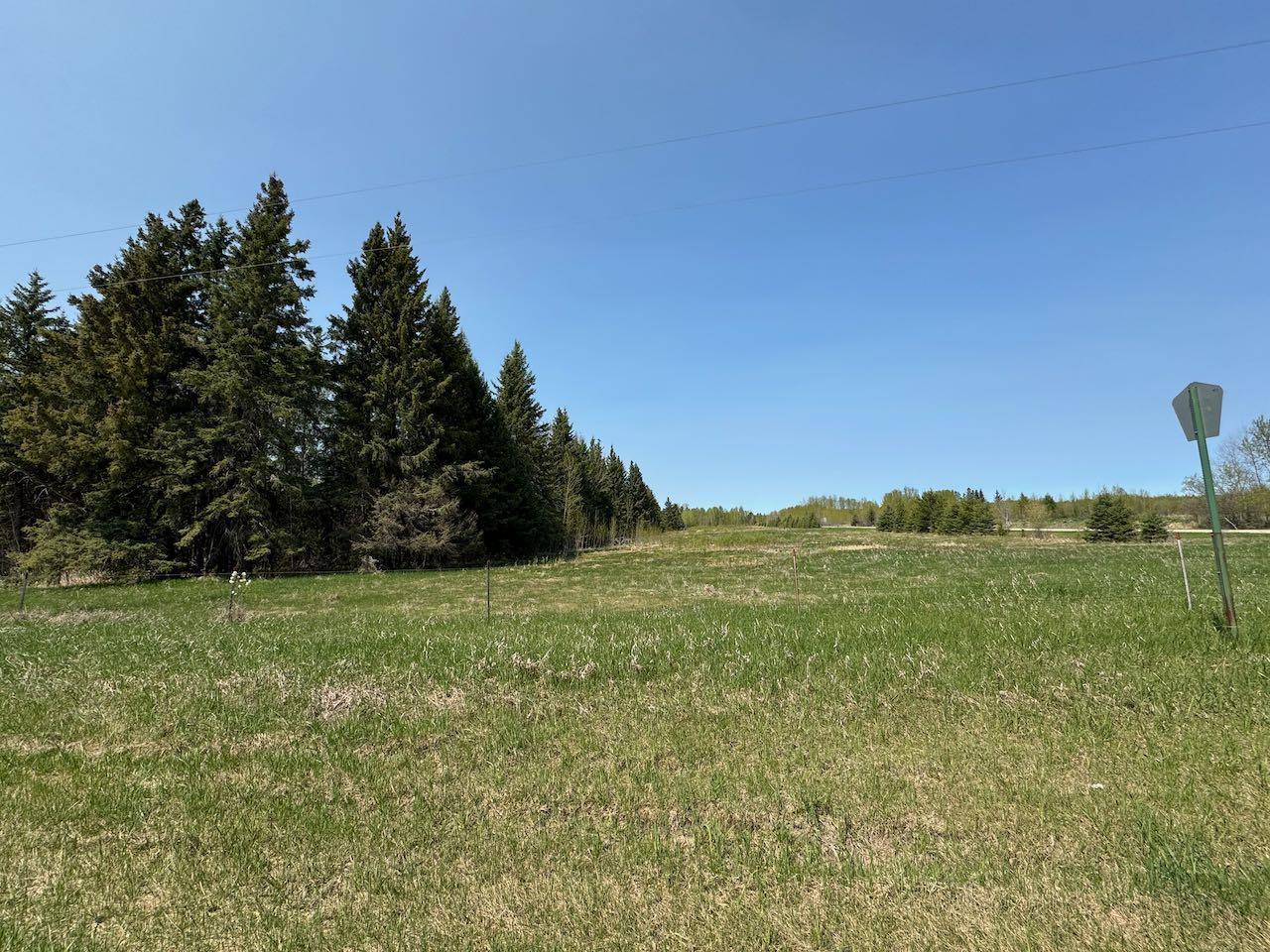 17181 Shotley Road, Kelliher, MN 56650