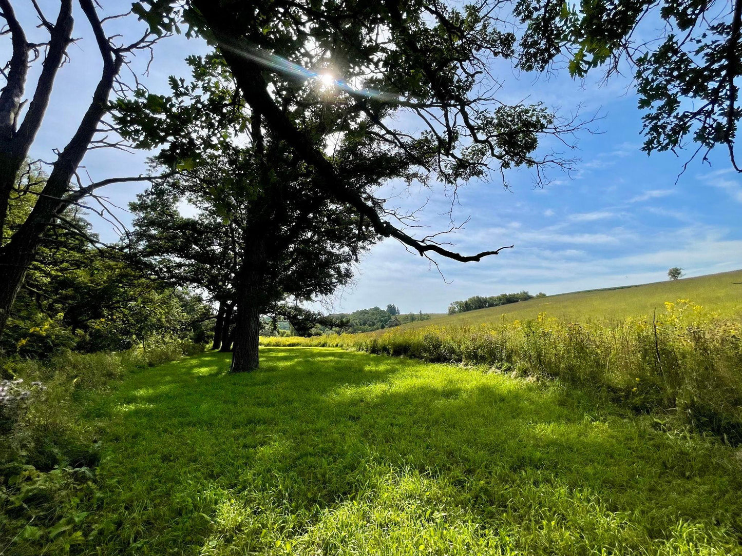 TBD County 8 , Spring Grove Twp, MN 55954