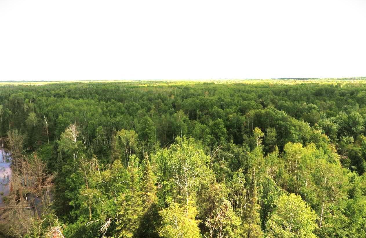 XX40 acres W Center Road , Clear Creek Unorg. Terr., MN 55707