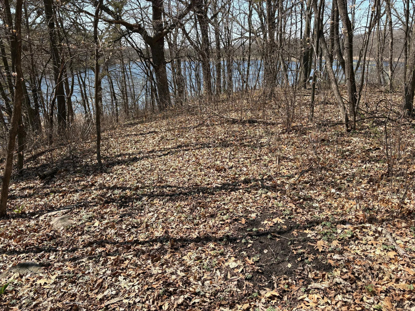 13400 Townline Avenue, Jackson Twp, MN 55379