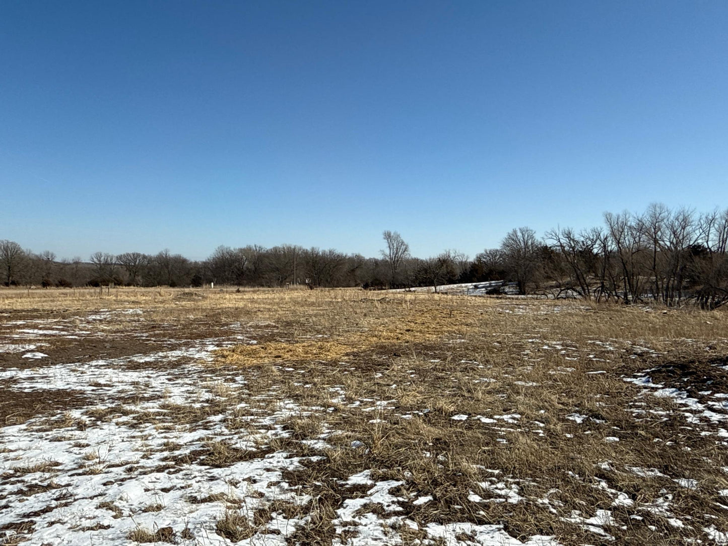 Pasture Land Section 13 / 24 Delhi TWP , Delhi Twp, MN 56283