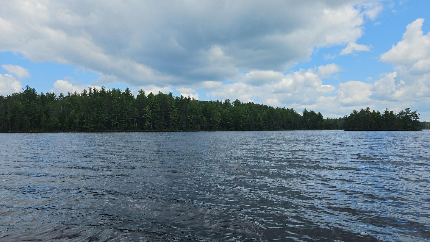 TBD Ban Lake Spur, Orr, MN 55771