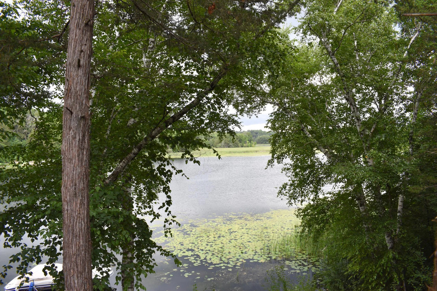 4629 Reardon Avenue, South Haven, MN 55382