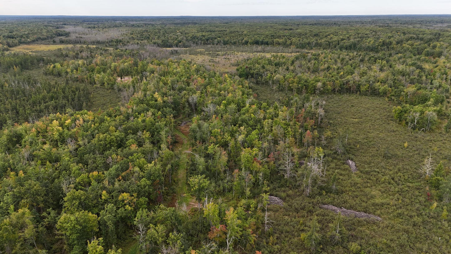 TBD Rainbow Trout Trail , Sandstone, MN 55072