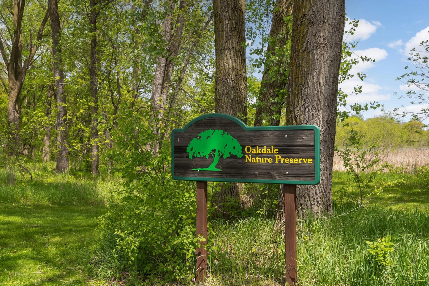 4625 Hamlet Avenue, Oakdale, MN 55128