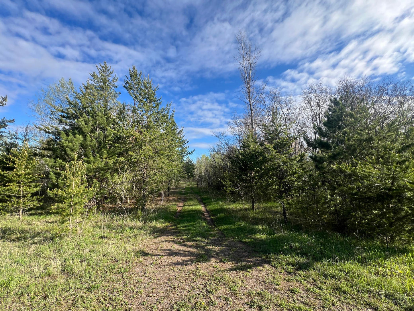 XXX Agate Drive, Pine City, MN 55063