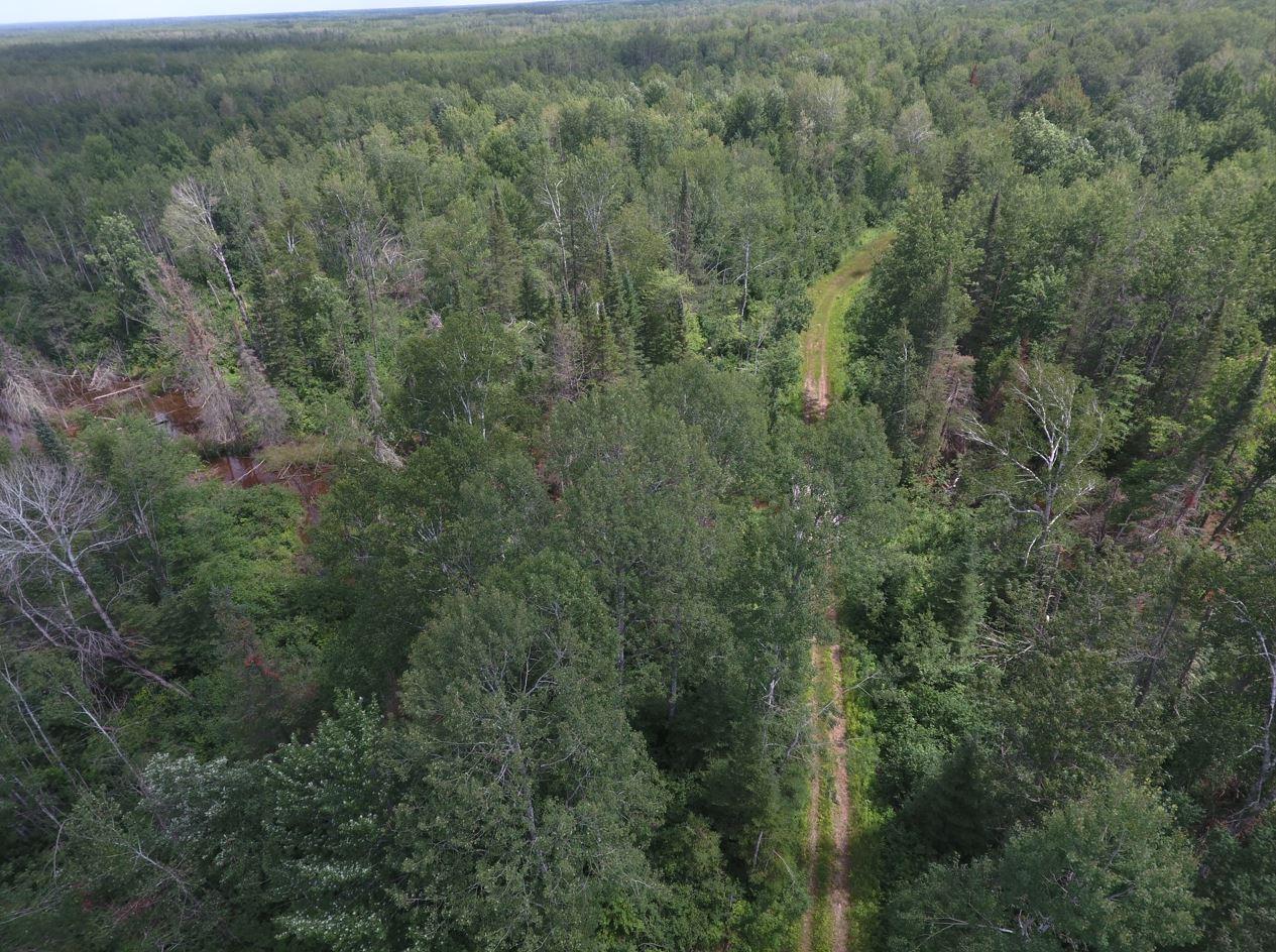 XX40 acres W Center Road , Clear Creek Unorg. Terr., MN 55707