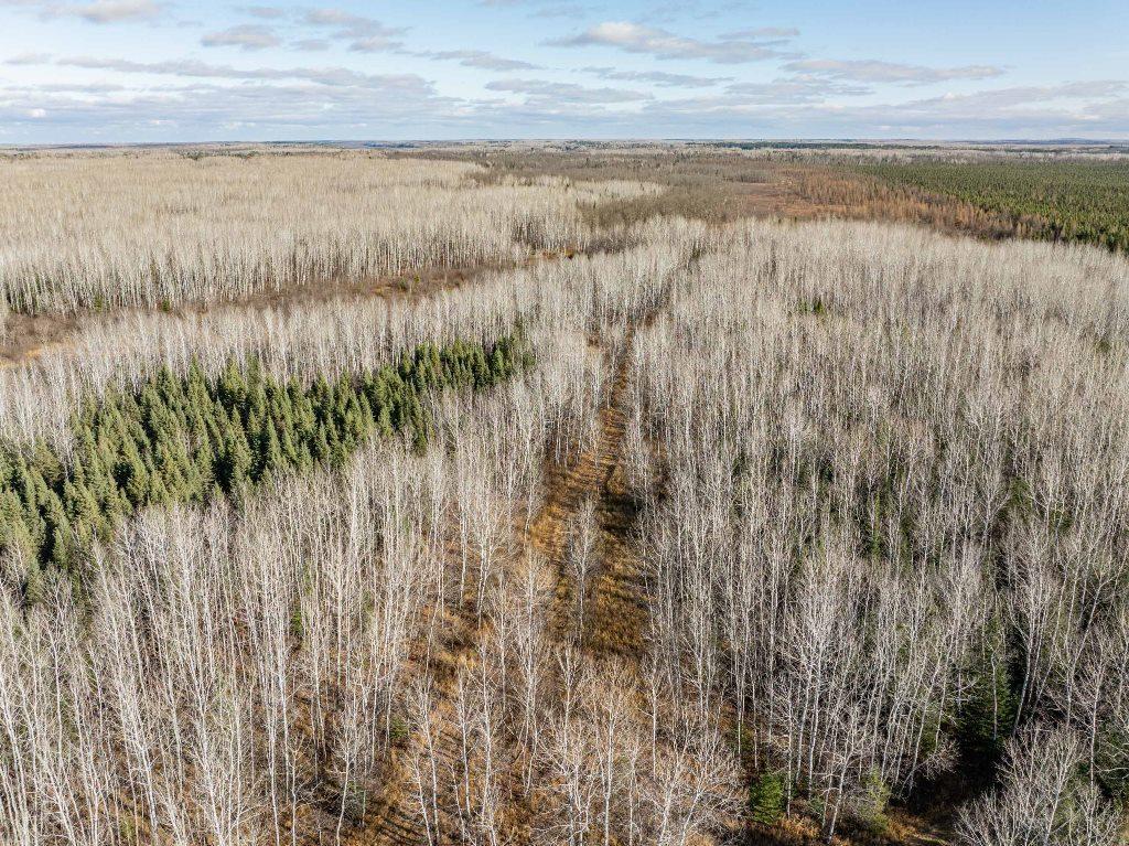 TBD County Rd 60 , Grand Rapids, MN 55744