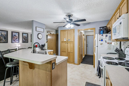 441 Pleasant Lane, Chaska, MN 55318