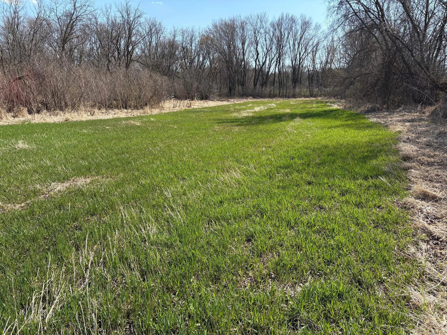 13400 Townline Avenue, Jackson Twp, MN 55379