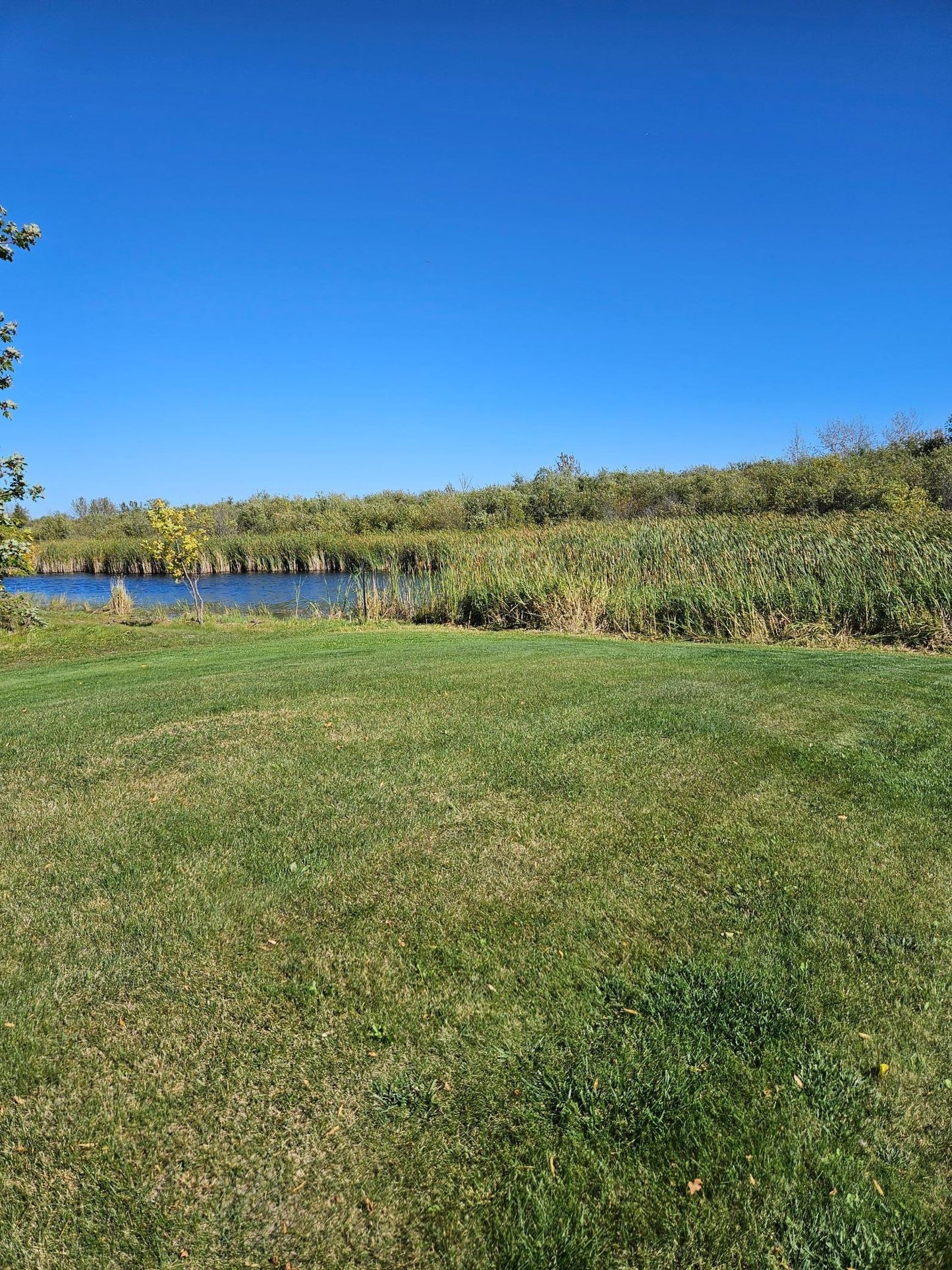 130 Lakeview Drive, Warroad, MN 56763