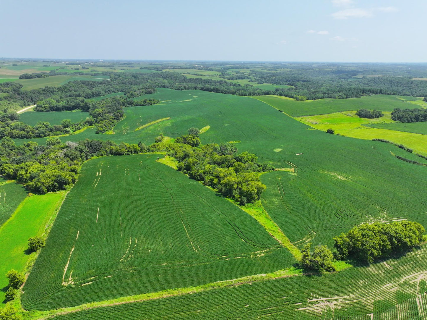 xxxx County Road 3 , Zumbro Falls, MN 55991